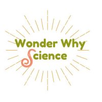Wonder Why Science (1) - Sarah Thornton